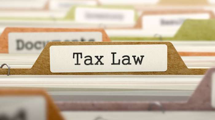 The New Tax Law, Individual and Businesses: What You Need to Know