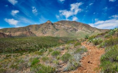 Outdoor Guide Franklin Mountains State Park Hiking & Recreation