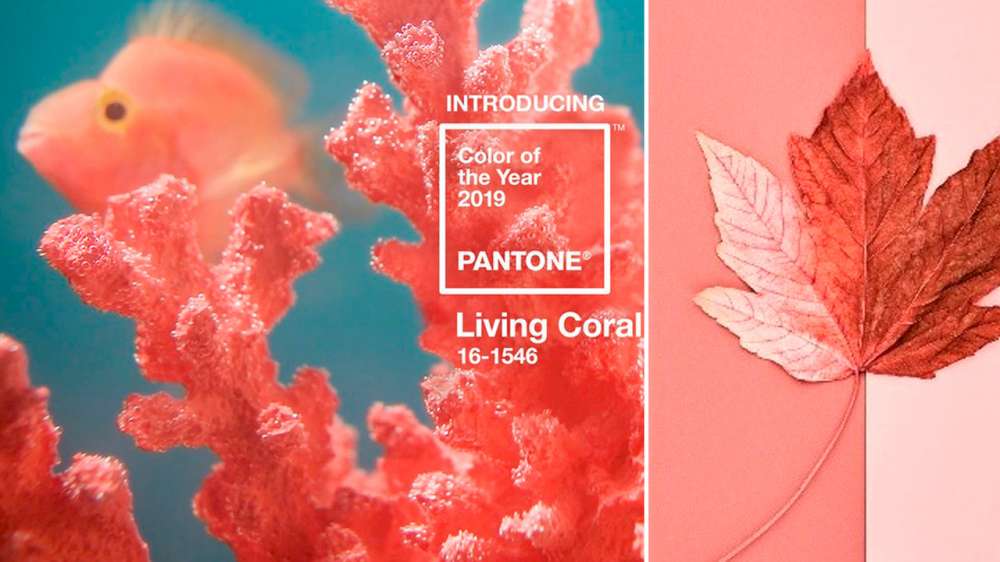 Makeup for 2019 Pantone Color of the Year