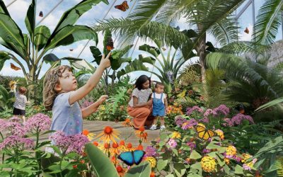 Fluttering Into the Future: The Shiloff Family Foundation Butterfly House Permanent Butterfly Exhibit at El Paso Children’s Garden